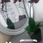 Pokoje Mragowo