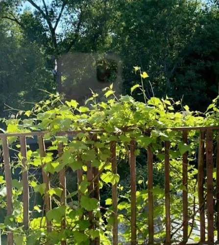 Pokoje Mragowo Privatunterkunft *